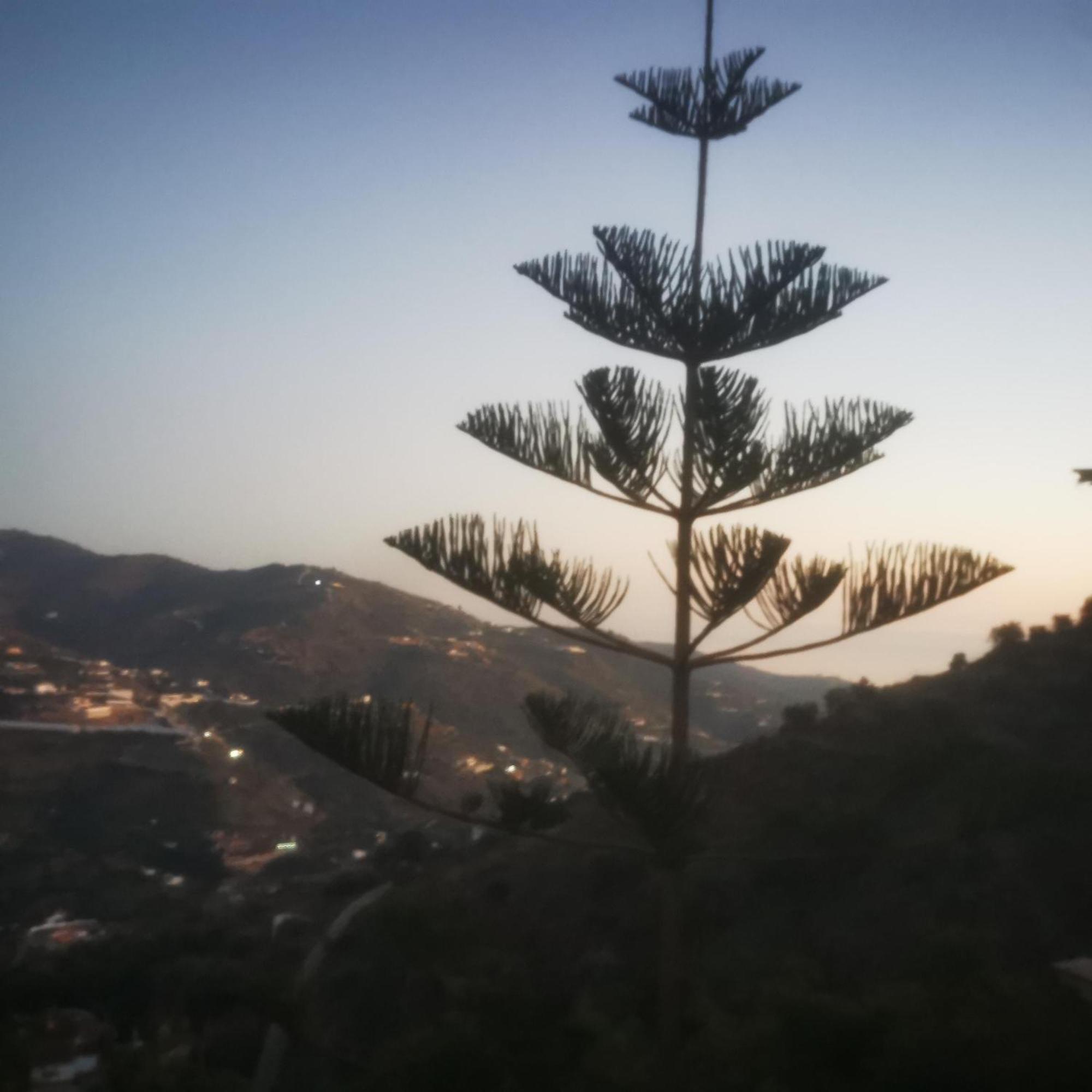 Casa Luxury Madera En Montanas De Torrox Málaga